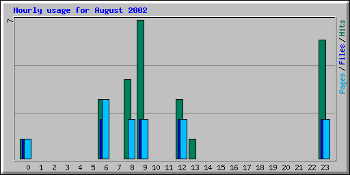 Hourly usage for August 2002